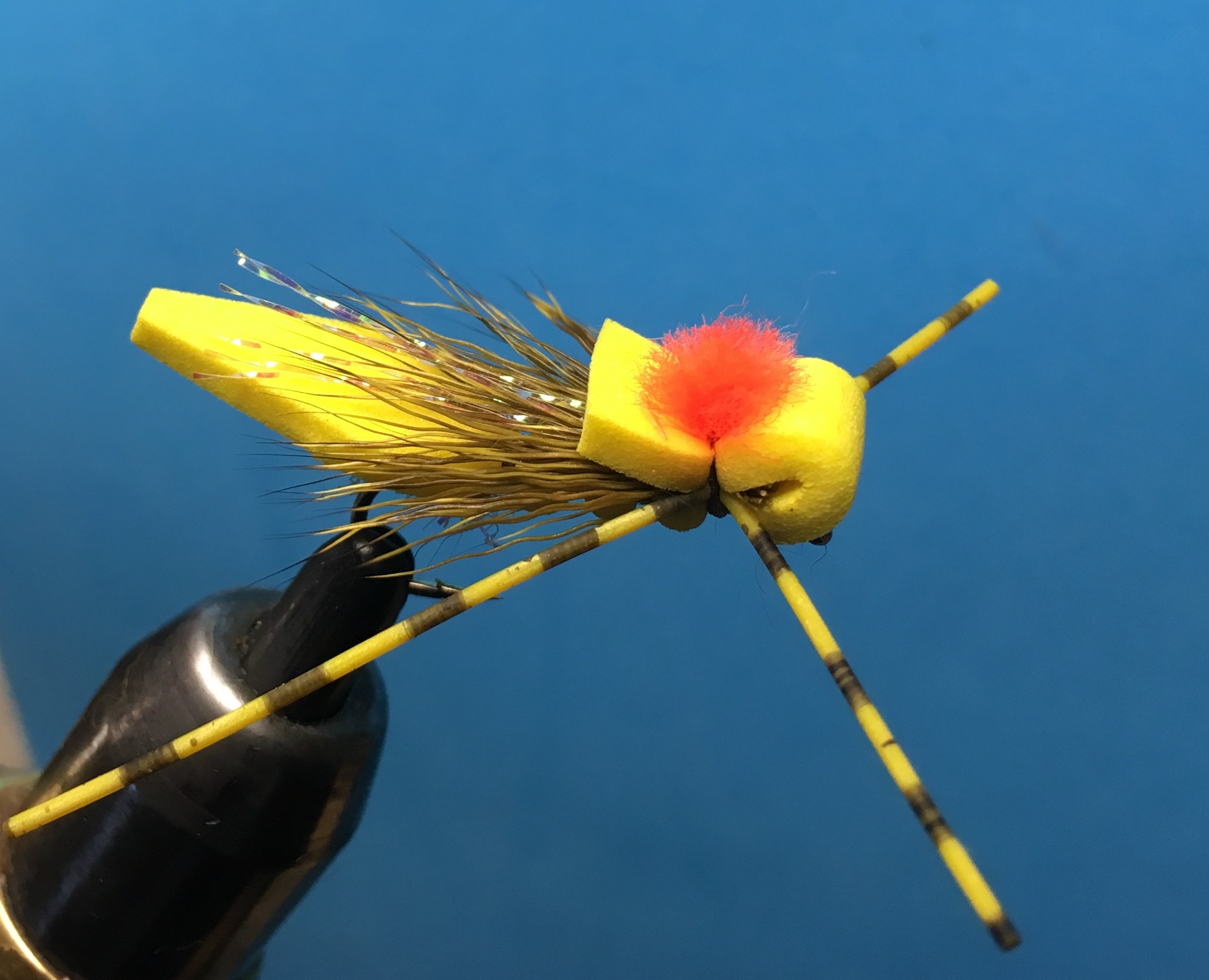 Terrestrials Dan's Fly Shop and Guide Service Fishing the