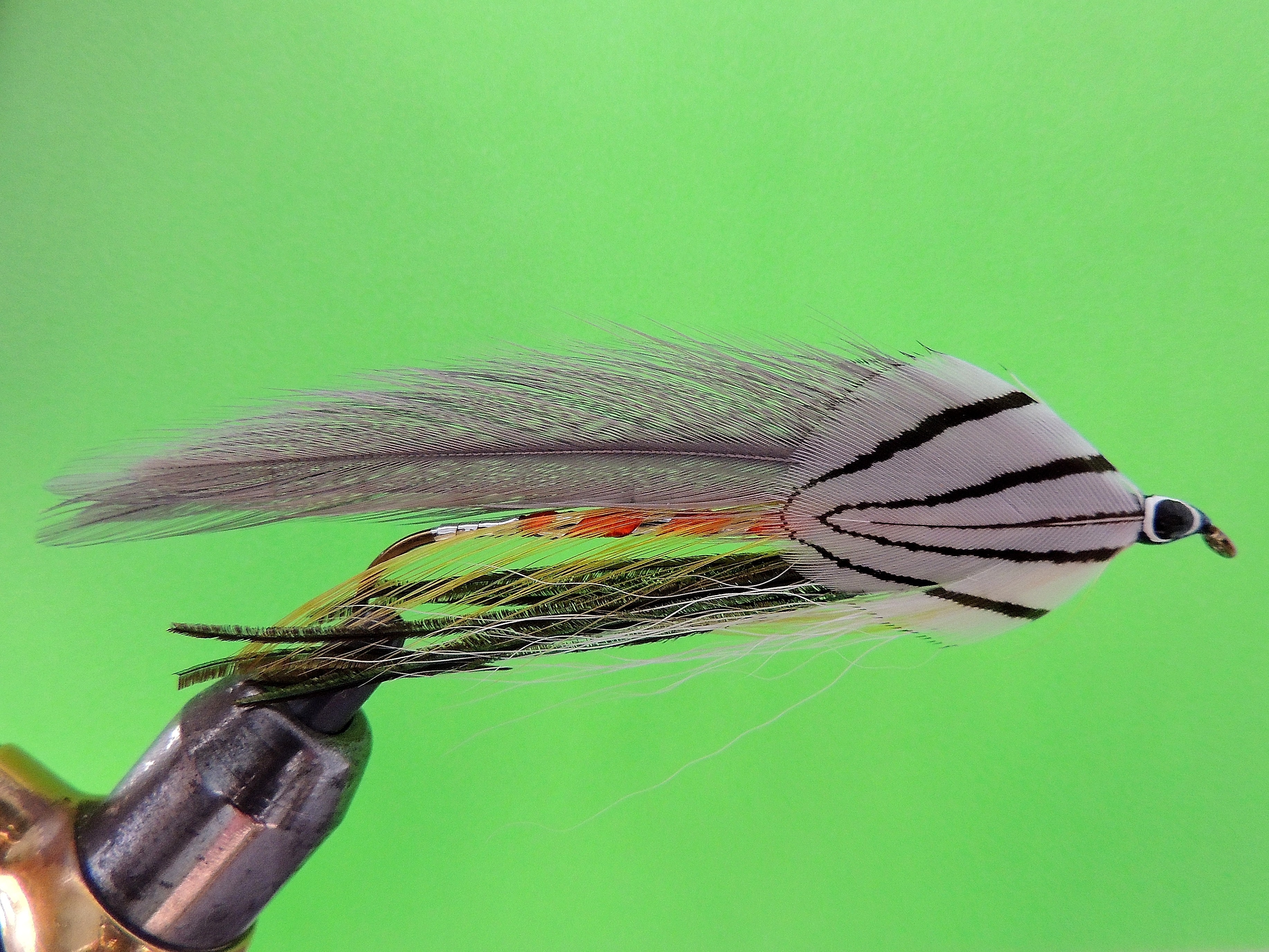 grayghost streamer Dan's Fly Shop and Guide Service Fishing the
