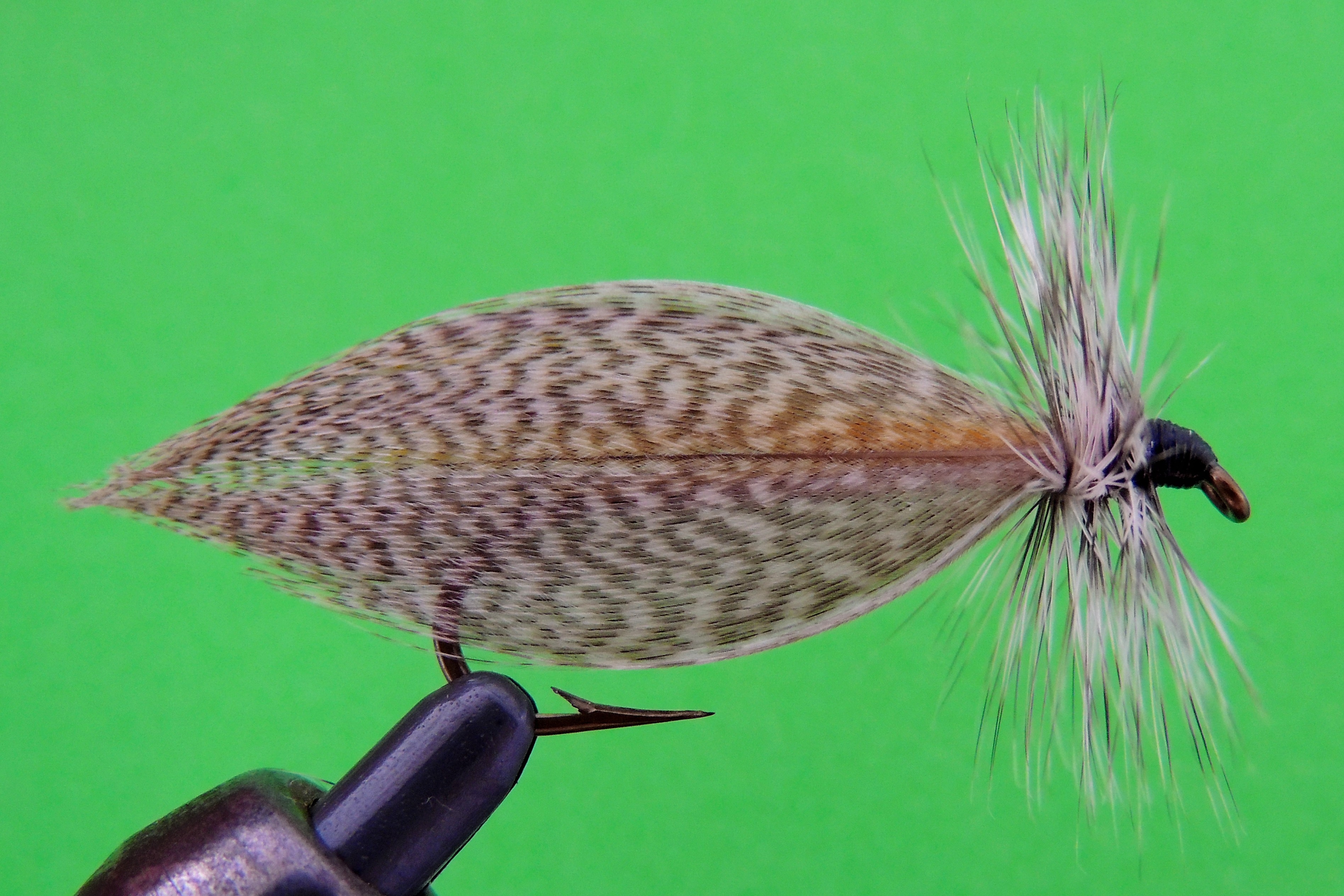 Hornburg Dan's Fly Shop and Guide Service Fishing the Androscoggin