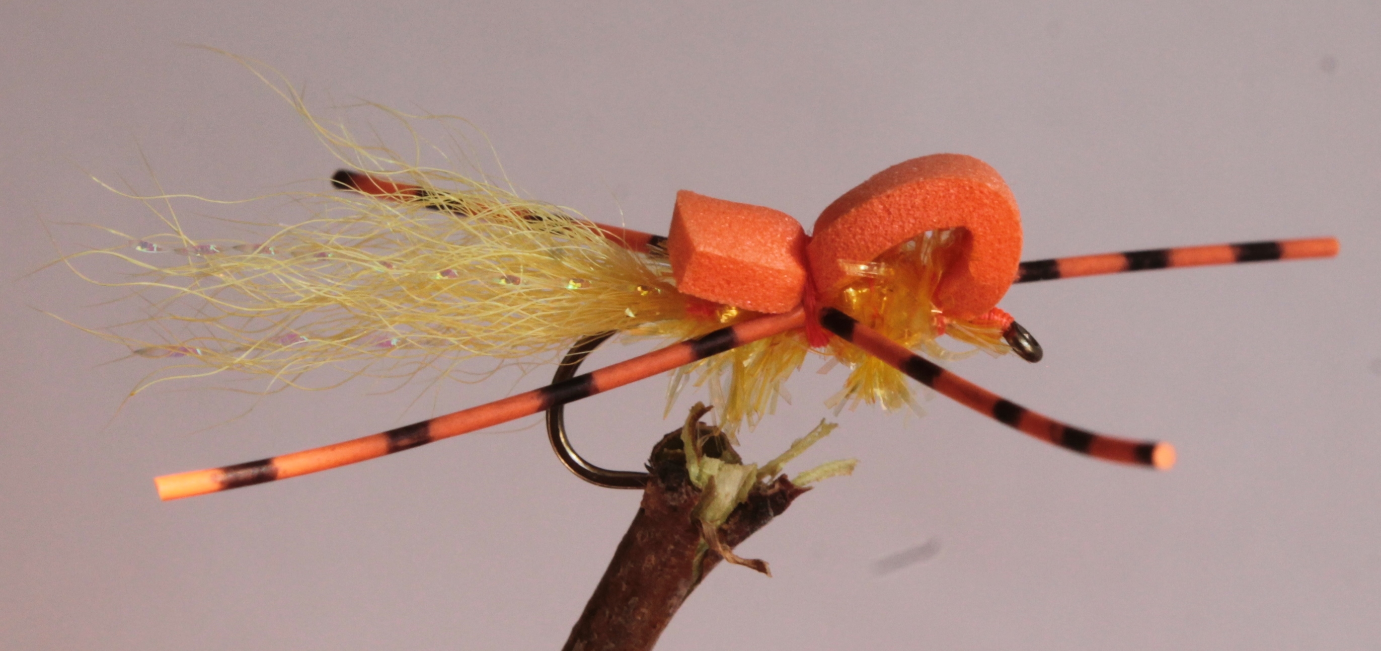 Baby Dragon Dan's Fly Shop and Guide Service Fishing the
